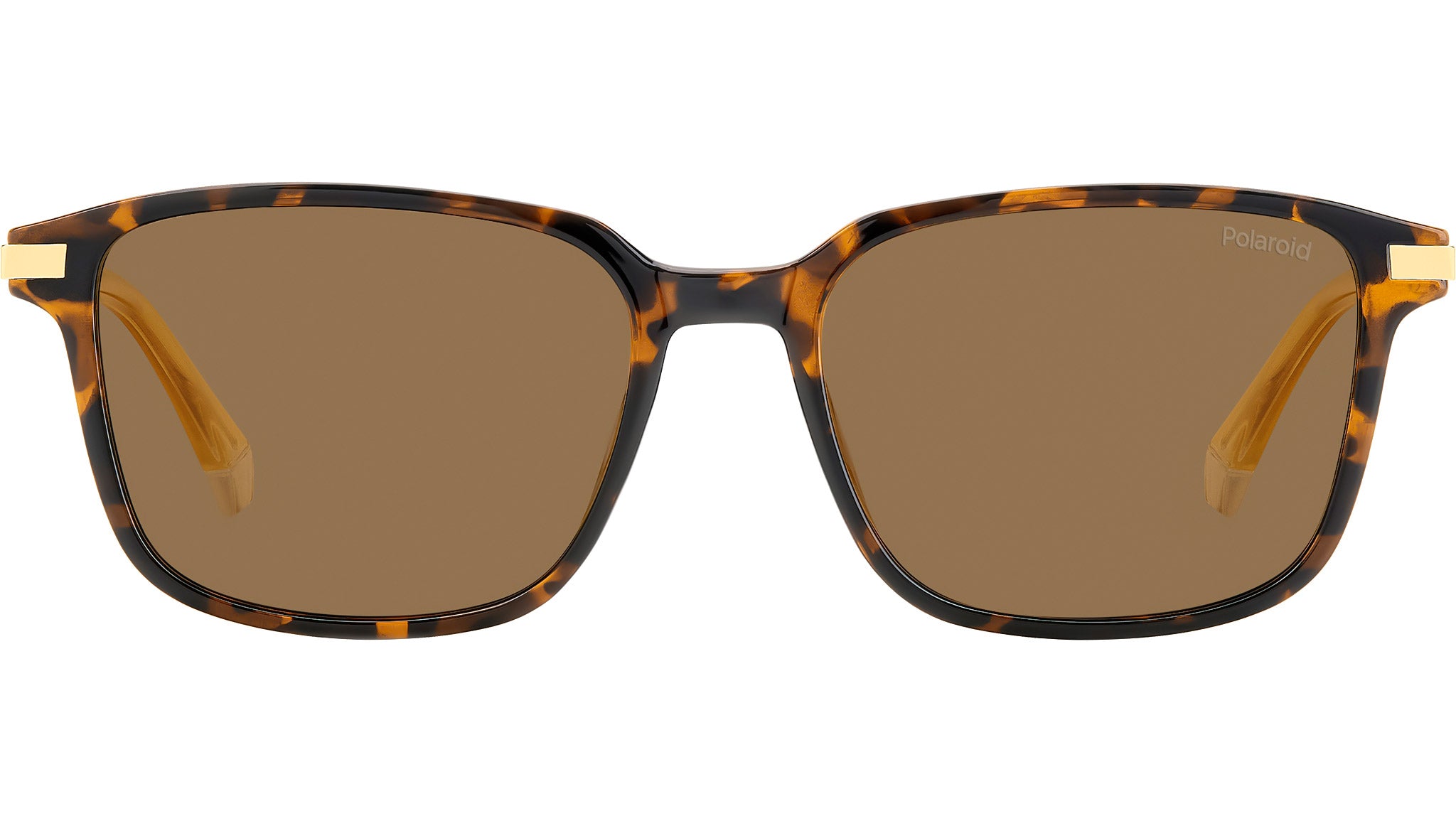 Polaroid PLD 4169/G/S/X 086 SP Sunglasses Havana - eye-oo.com