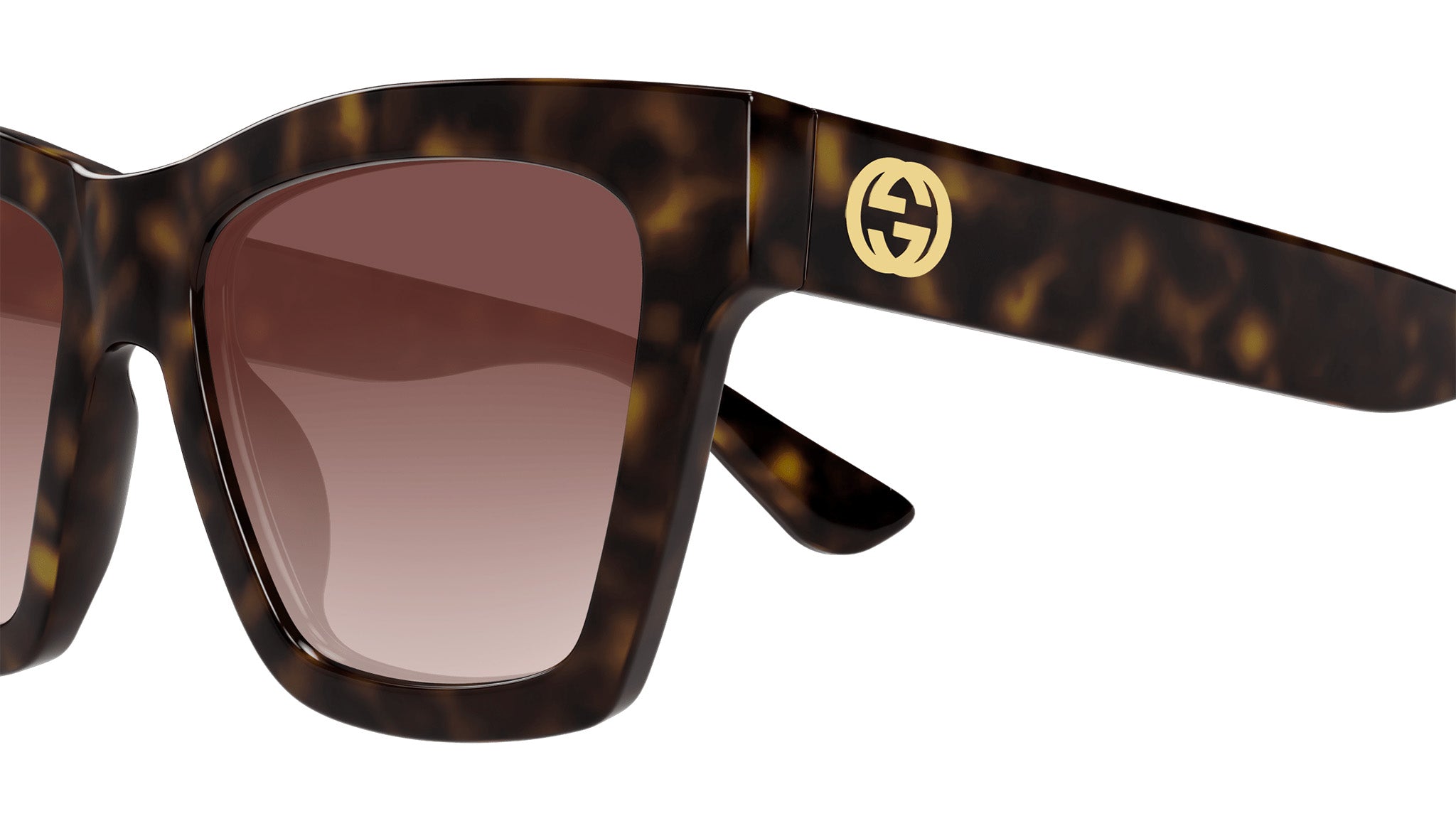 Gucci GG1714S 002 Havana Brown Cat Eye Sunglasses - eye-oo.com