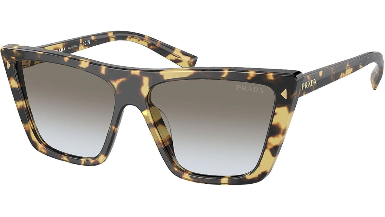 PR 21ZS 7S00A7 medium tortoise