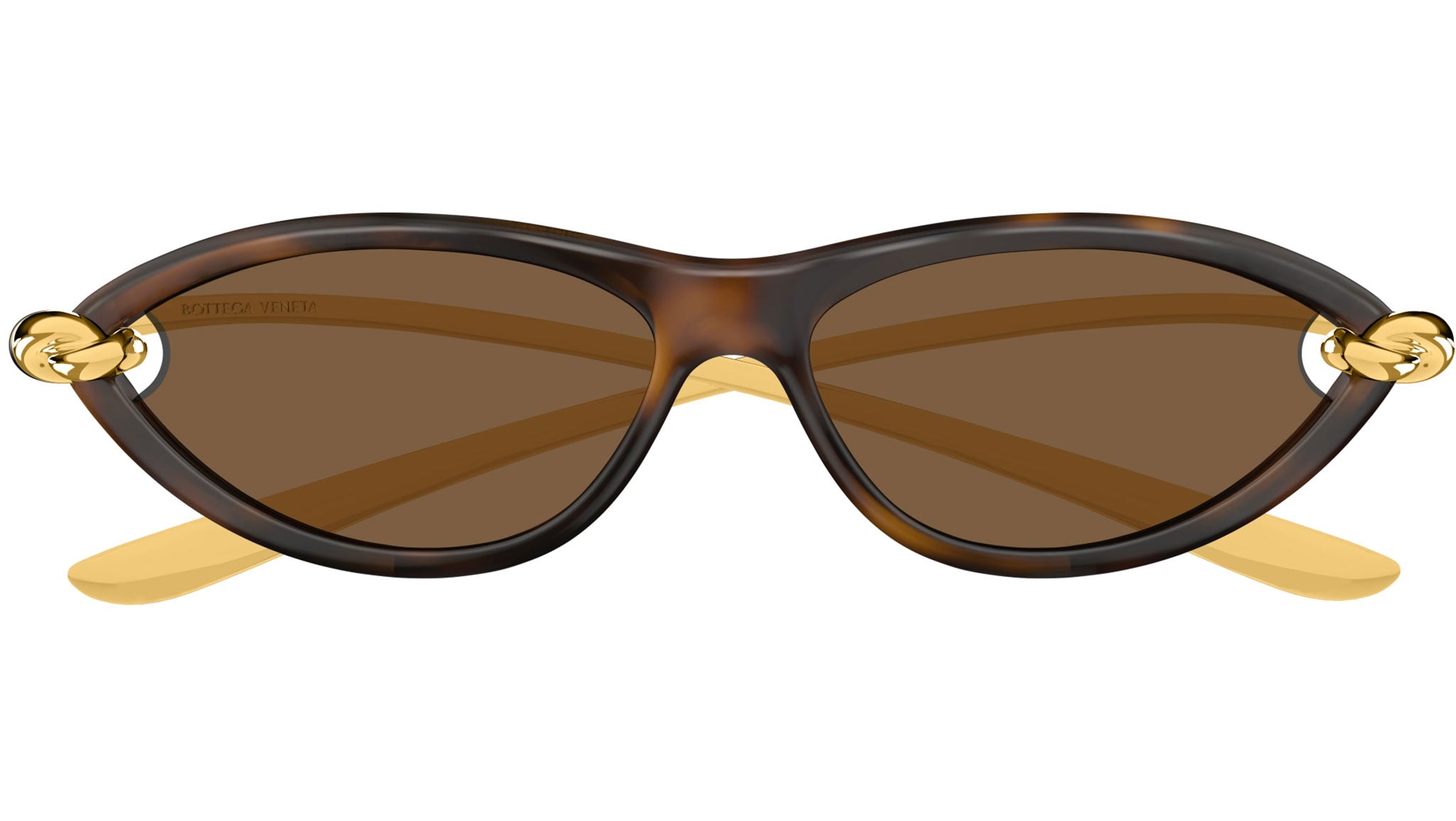 BV1390S Bottega Veneta Cat Eye Sunglasses 002 Sprayed Havana - eye