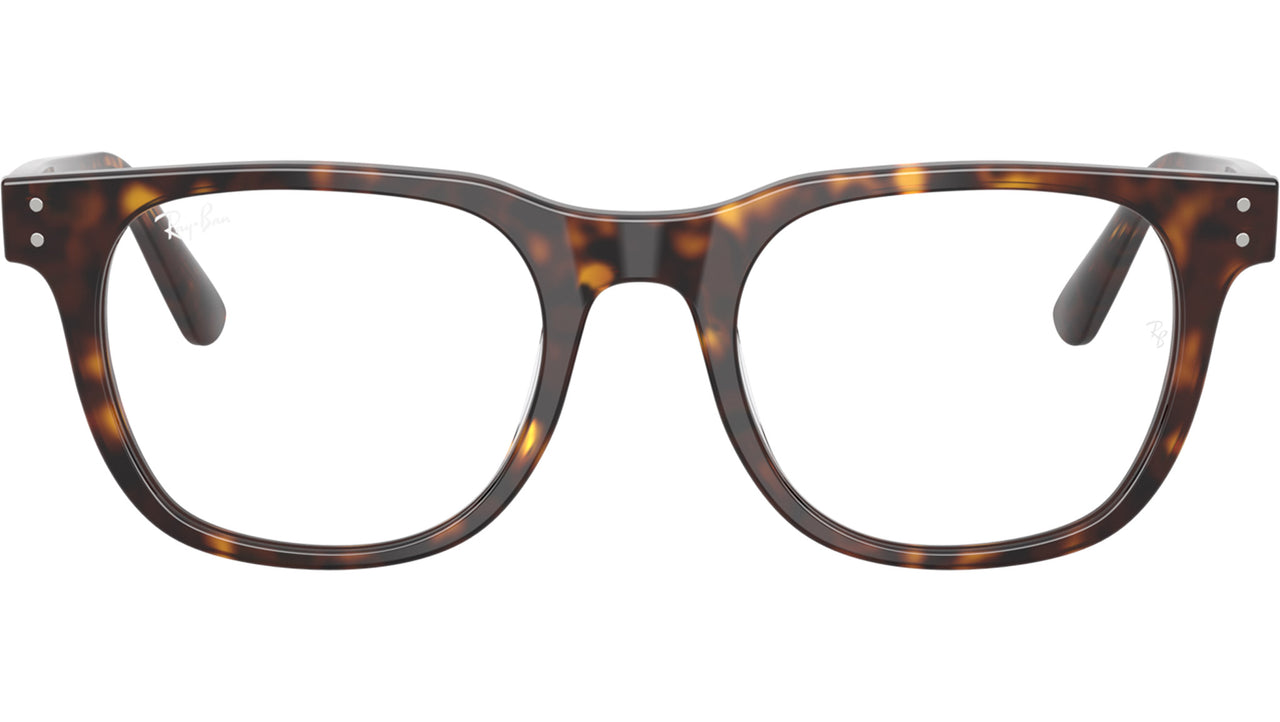 RB5461D Optics 2012