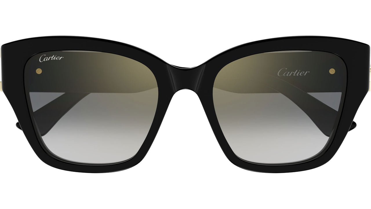 CT0666S 001