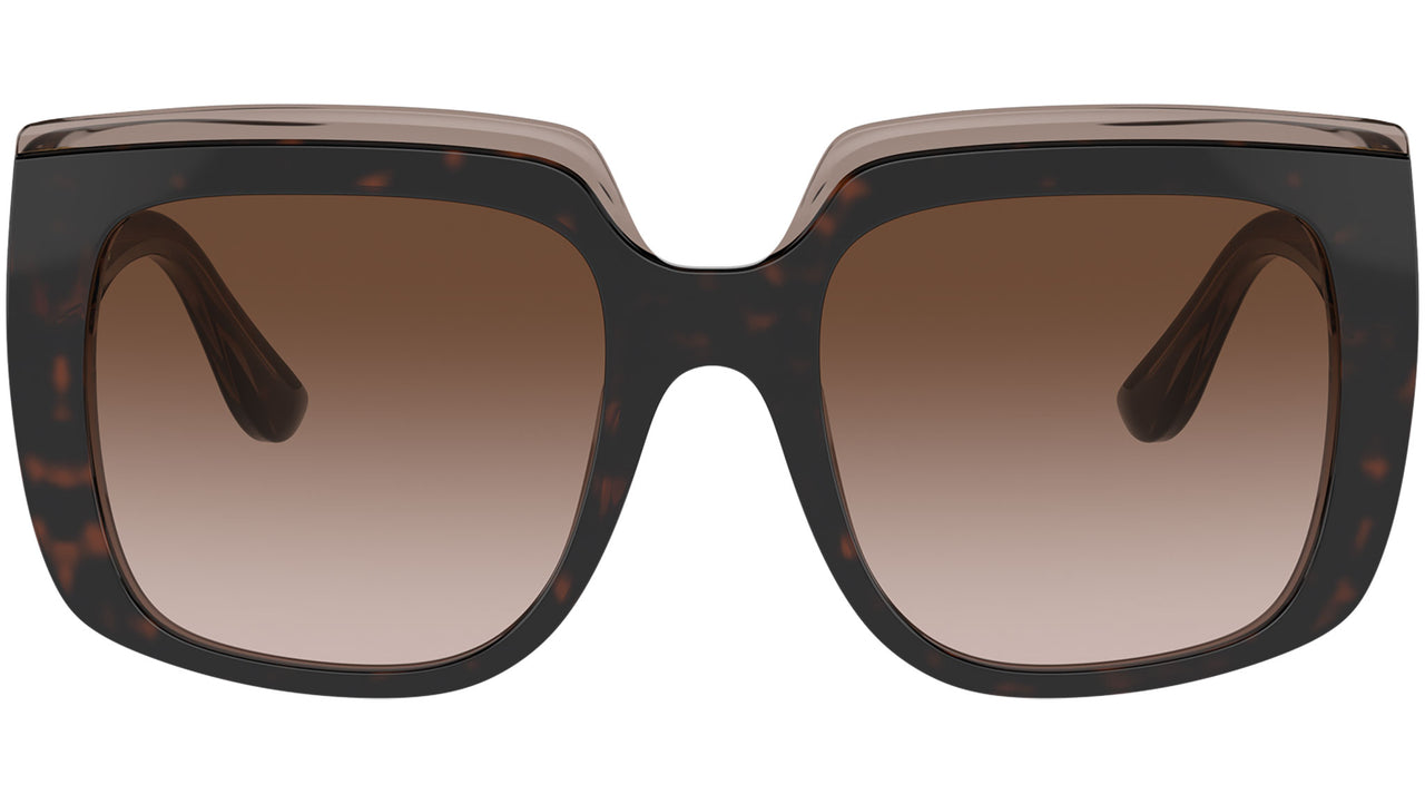 DG 4414 502/13 tortoise