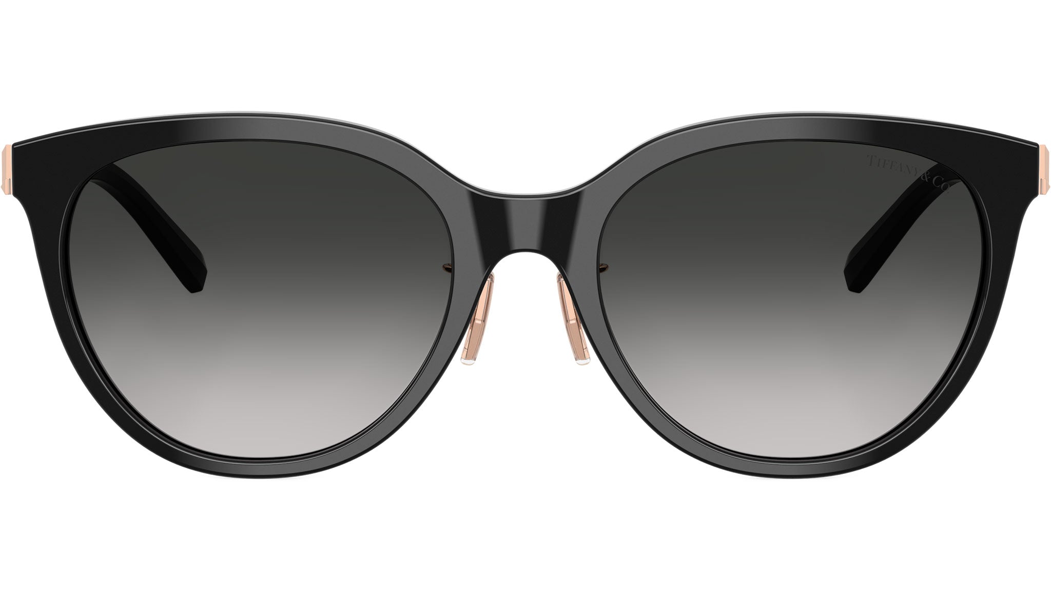Tiffany & Co Black Sunglasses Tiffany & Co. TF4202U 80013C Sunglasses Women main image 3
