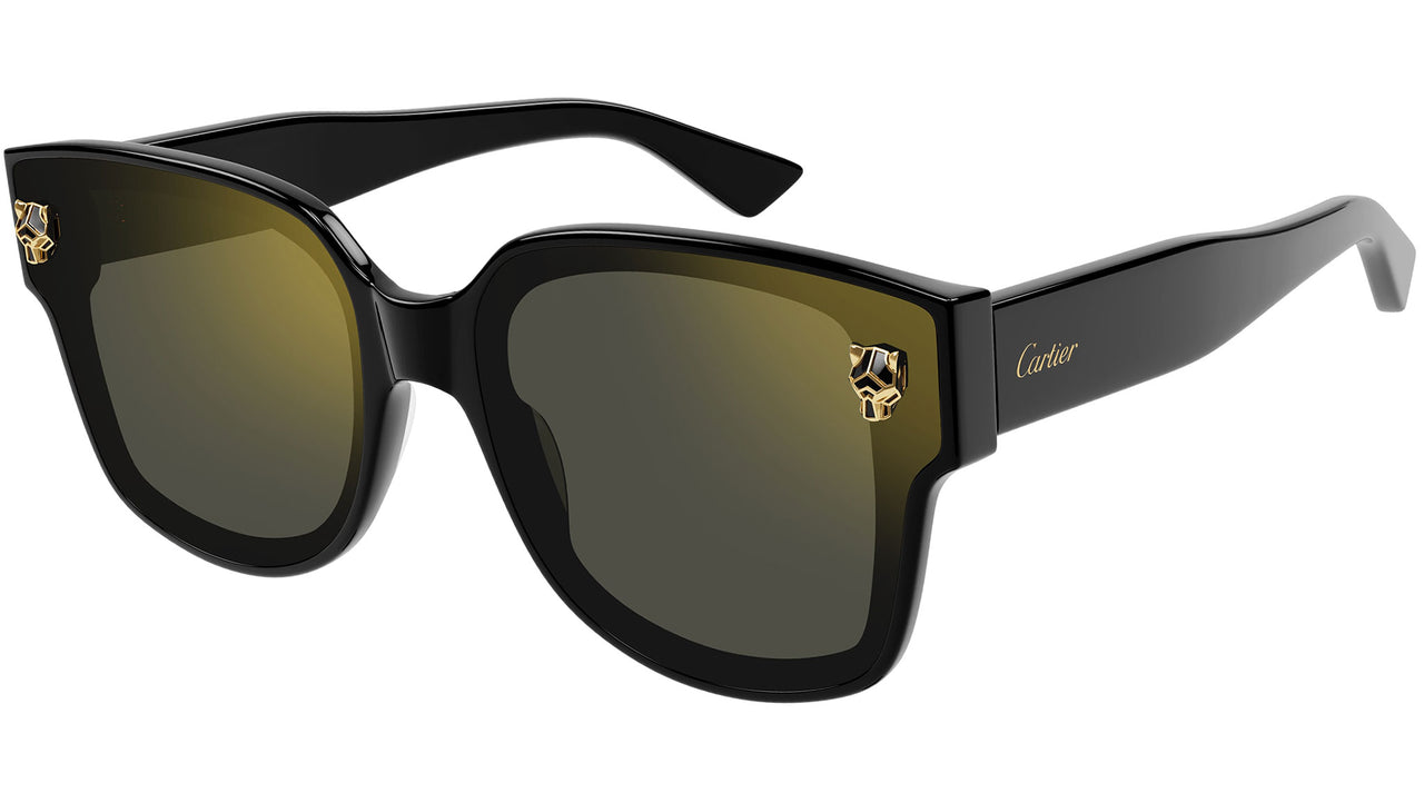 030013703-00Z0Z0C2_1.jpg