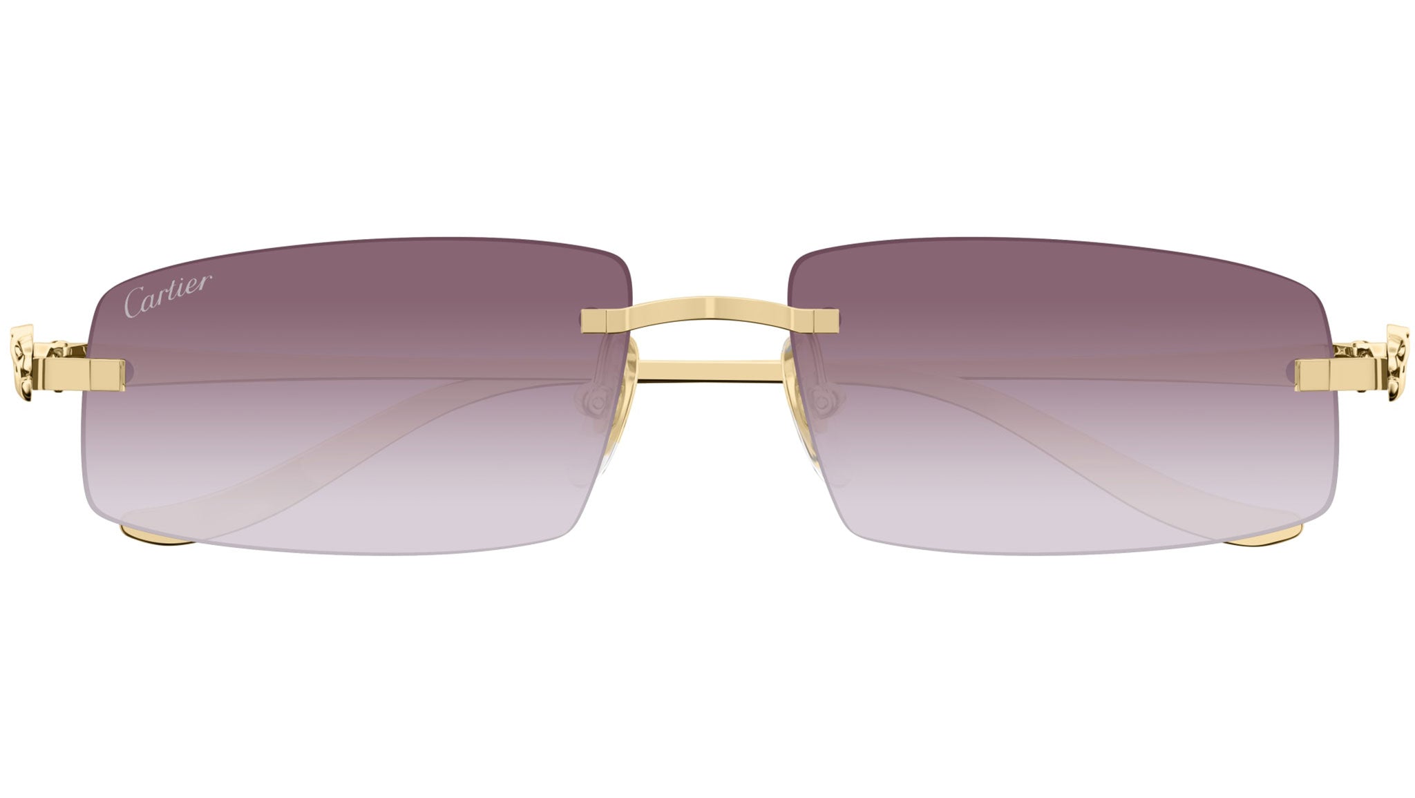 Cartier CT0505S 004 Sunglasses Shiny Gold - eye-oo.com