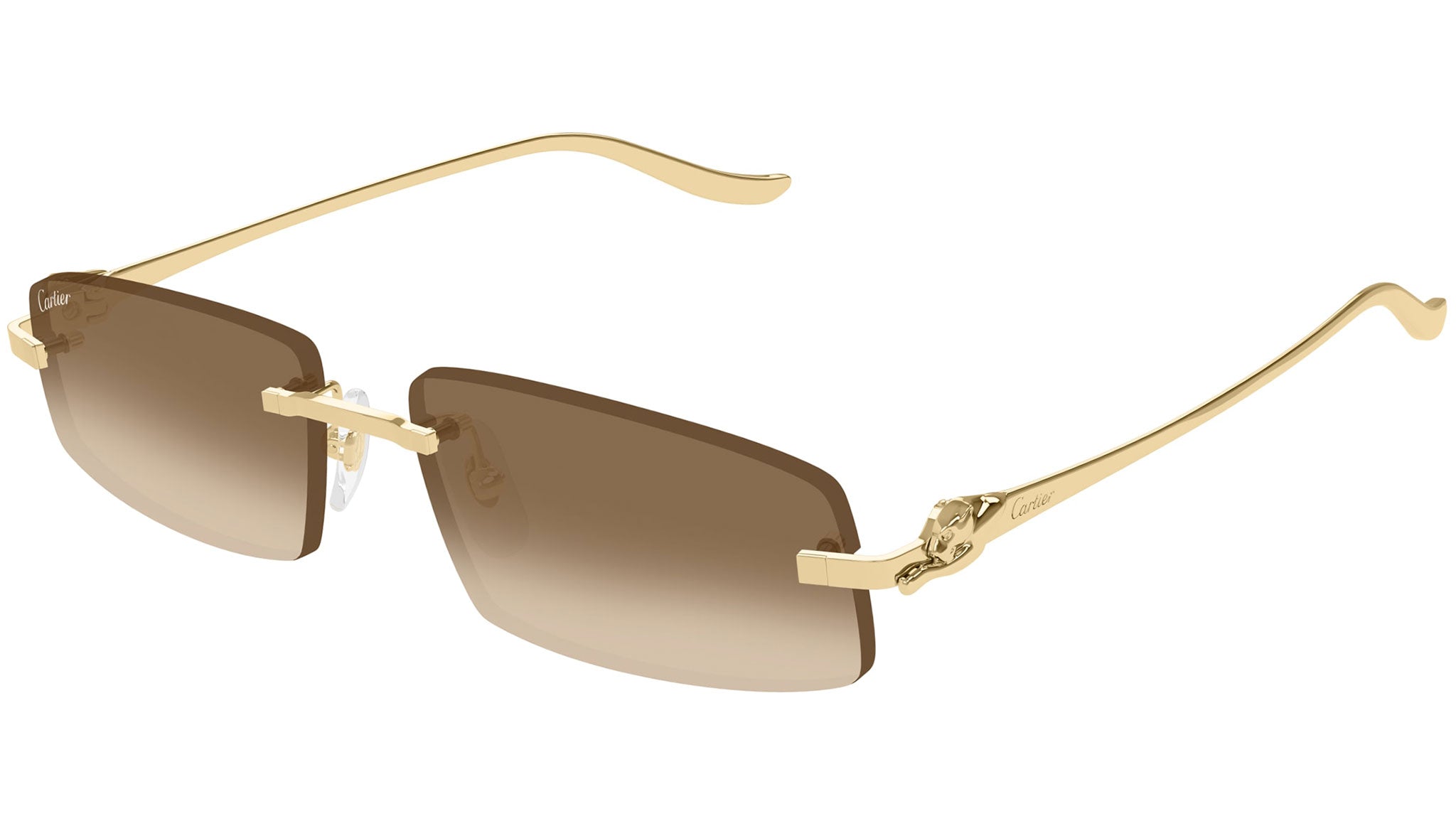 Cartier CT0505S 003 Sunglasses Shiny Gold - eye-oo.com