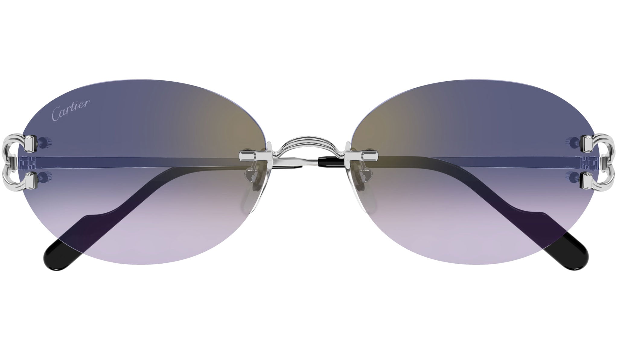 Cartier CT0551S 003 Sunglasses Shiny Platinum Blue - eye-oo.com display picture 1