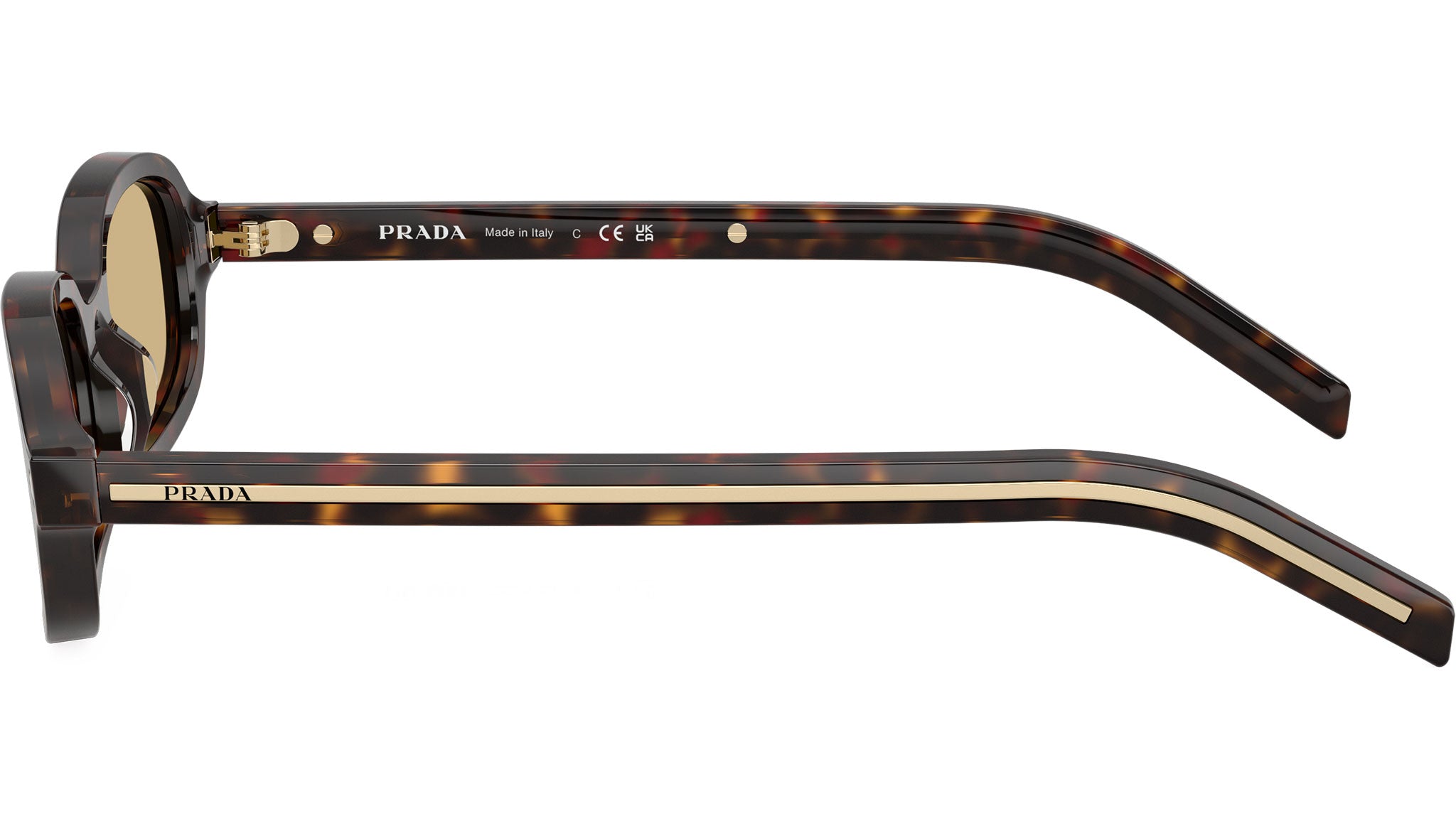 PR D06S Prada Sunglasses 17N70R Root Tortoise - eye-oo.com