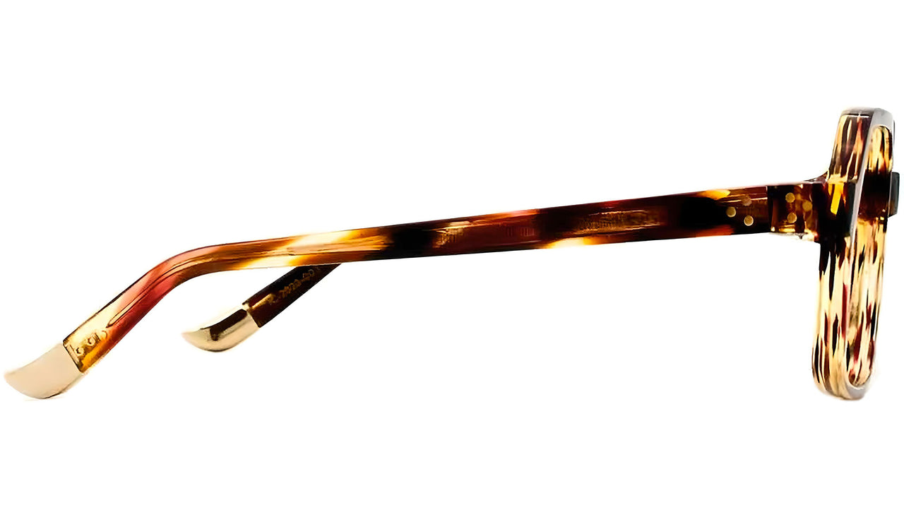 Capri Hamptons Tortoise