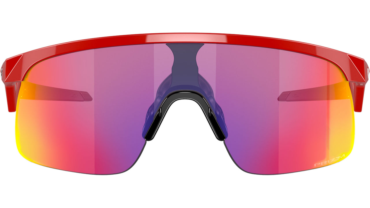 Resistor OJ9010 02 Redline