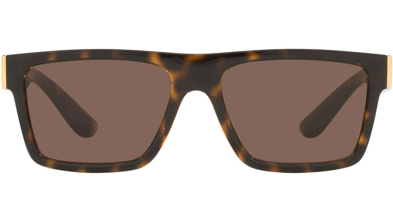 DG 6164 502/73 tortoise