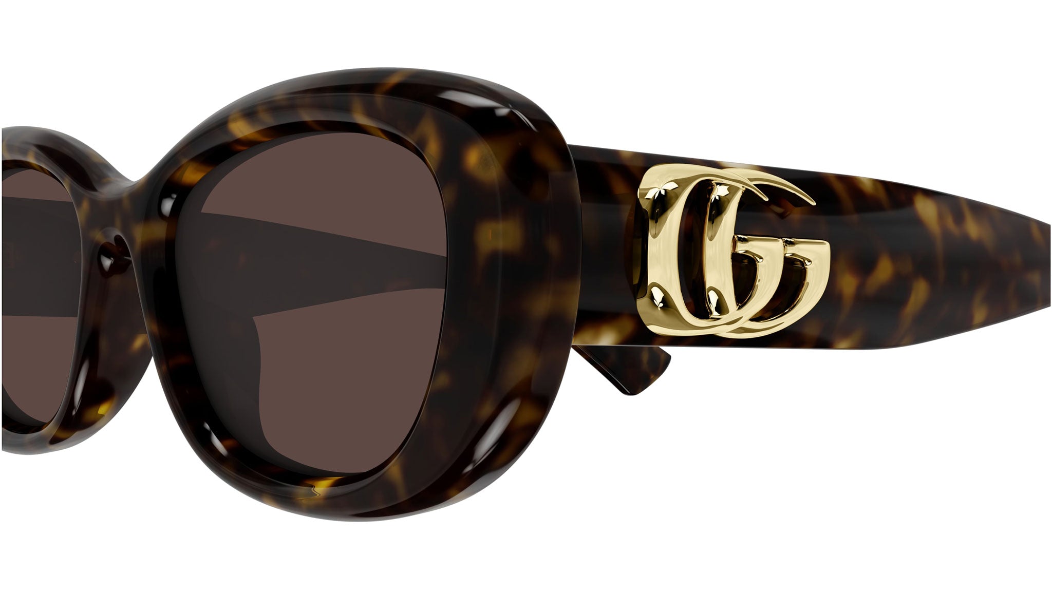 Gucci GG1829SK 002 Panthos Sunglasses Dark Havana - eye-oo.com
