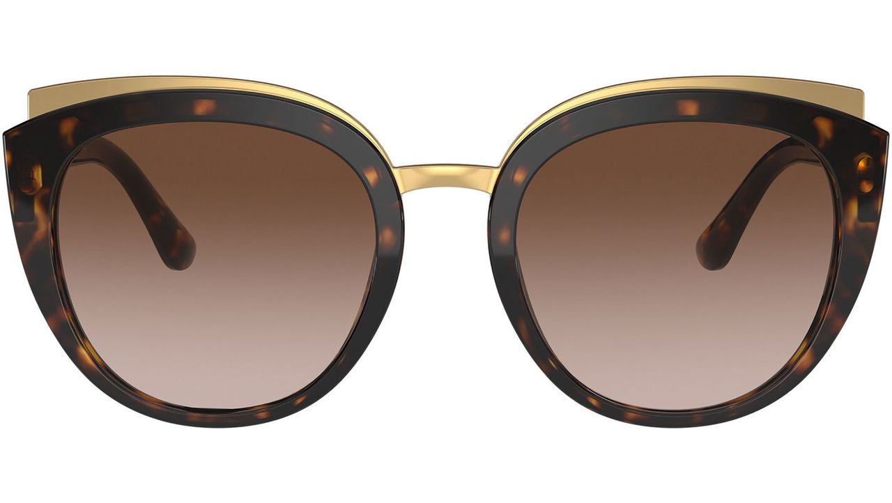 DG 4383 502/13 tortoise