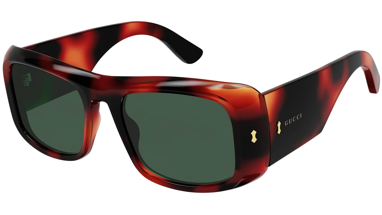 GG1080S 003 shiny tortoise