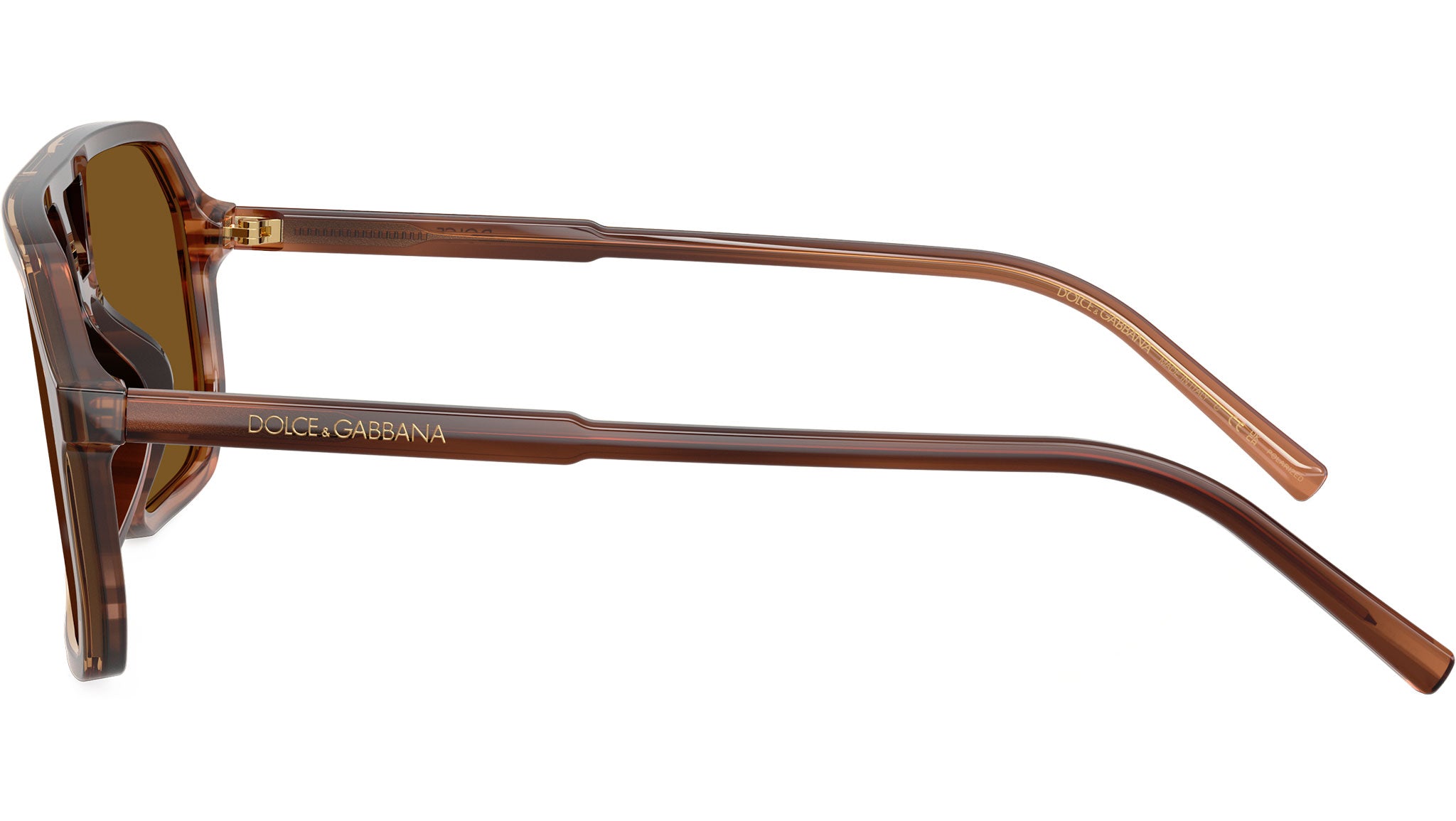 DG4541 Dolce & Gabbana Sunglasses 348183 Brown On Striped Brown