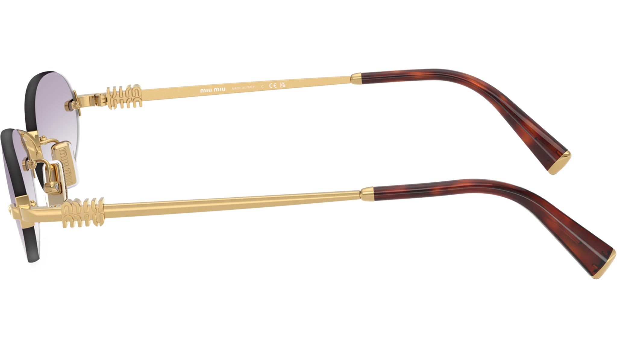 miu AAA03604.jpg