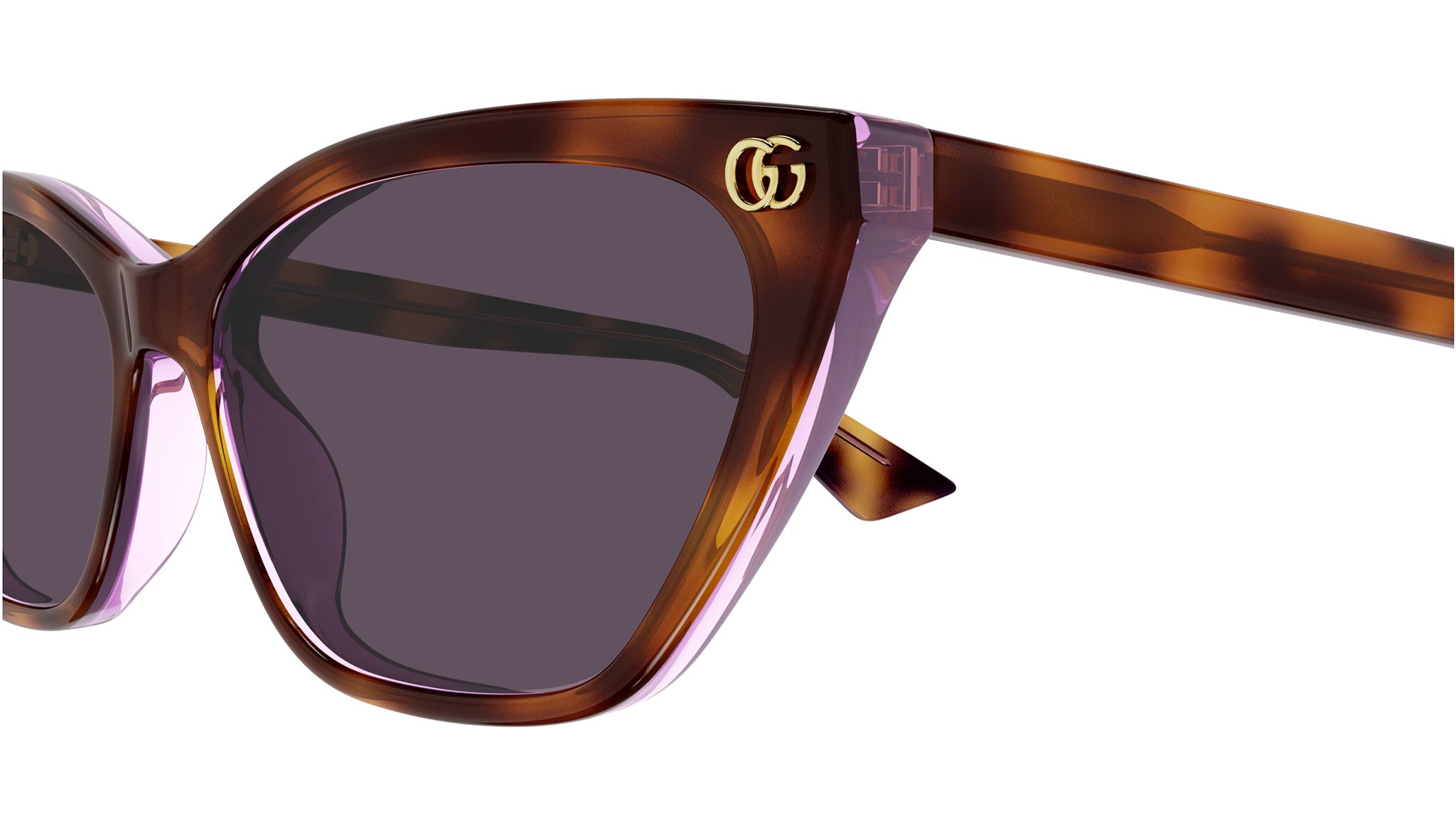 Gucci GG1815S 004 Havana Violet Cat Eye Sunglasses - eye-oo.com