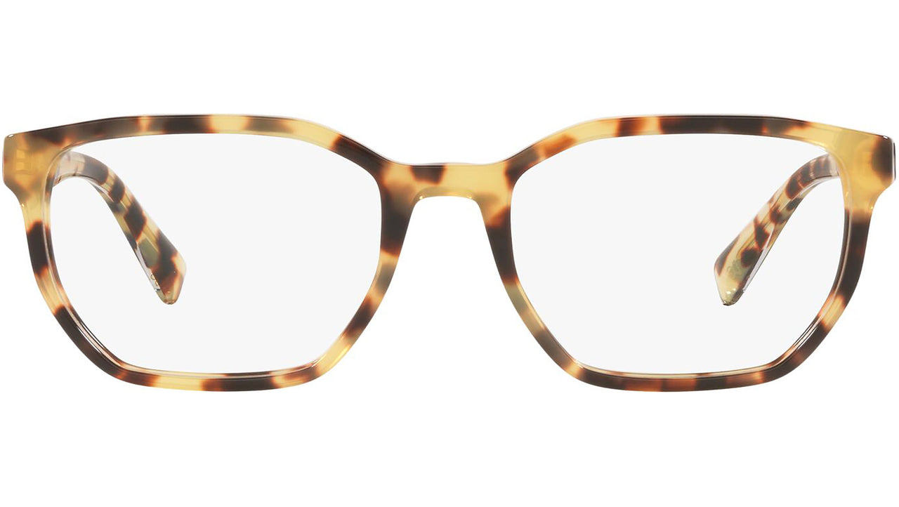 DG 3338 512 tortoise