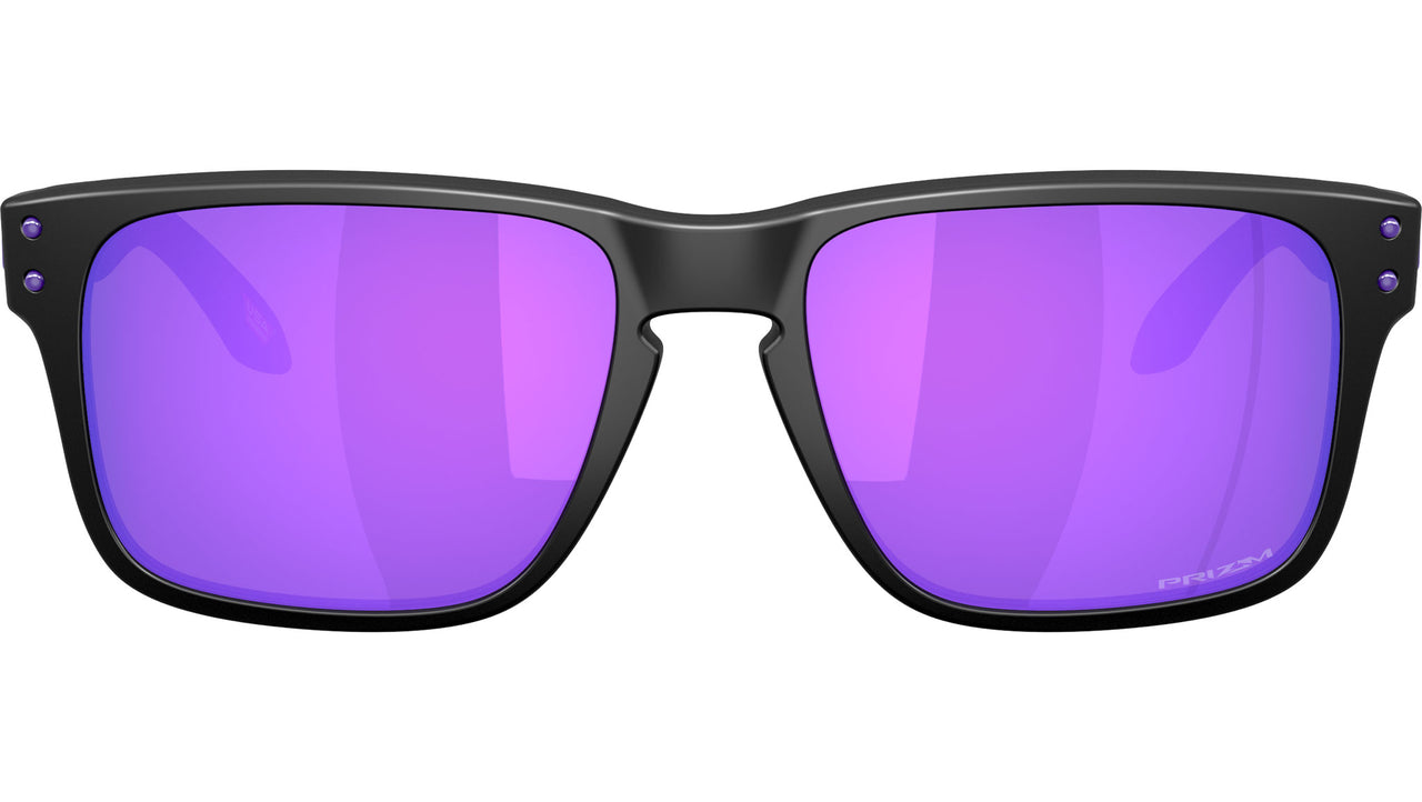 Holbrook S OO9509 06