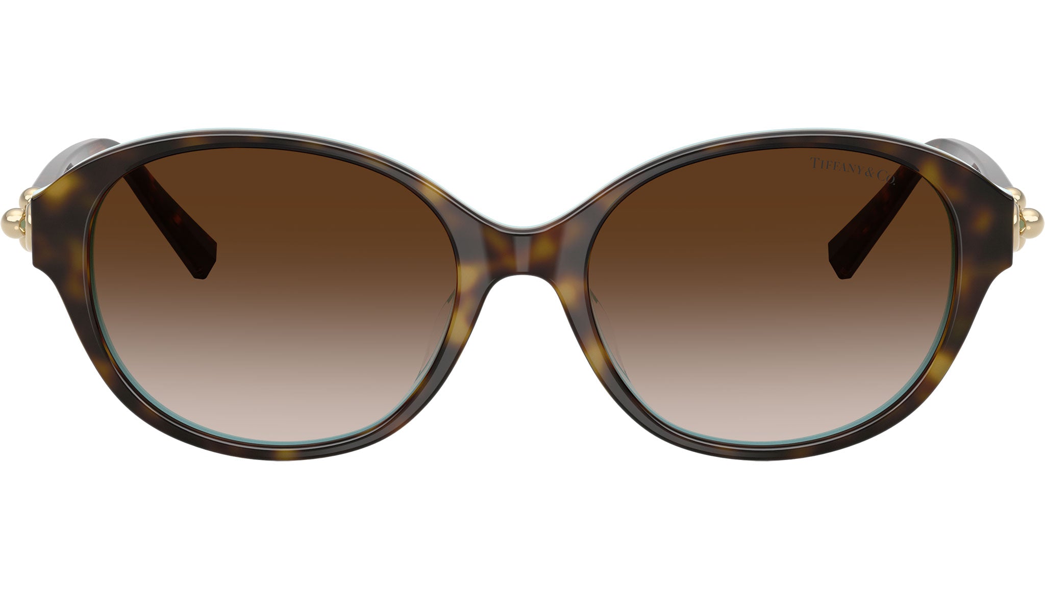 TF4263D Tiffany Sunglasses 81343B Havana on Tiffany Blue - eye-oo.com