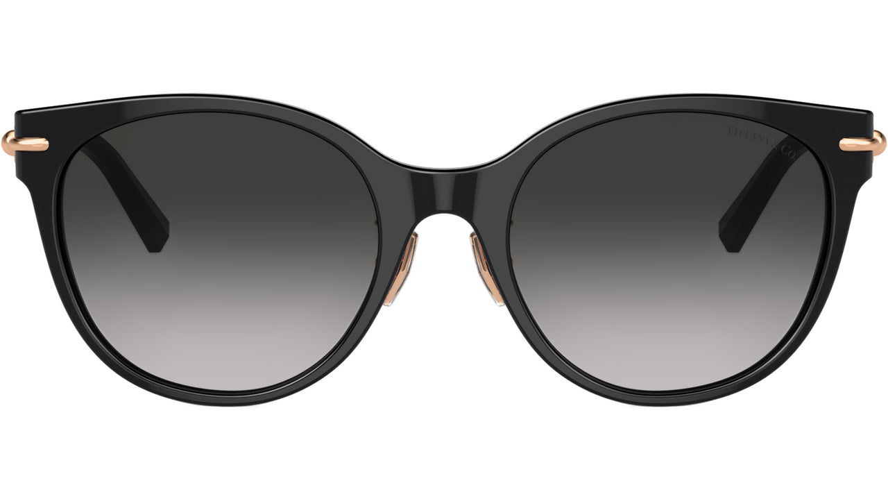 TF4223D 80013C Black