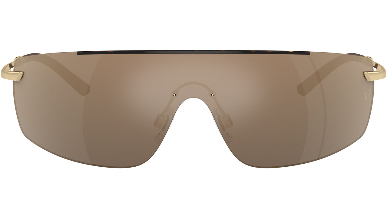 R-5 OV1344S 50355A Tortoise