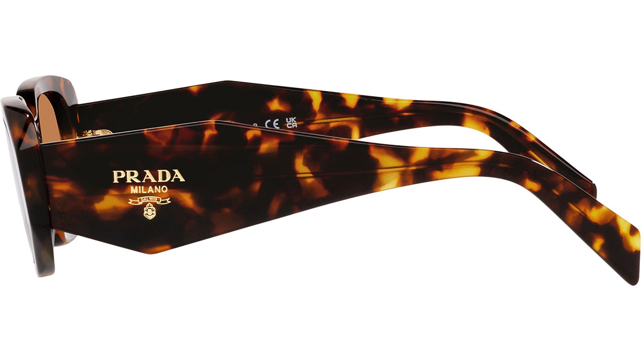 prada PR-17WS in tortoise Prada 17WS Sunglasses | Tortoise Brown – Great Southern Sunnies main image 2