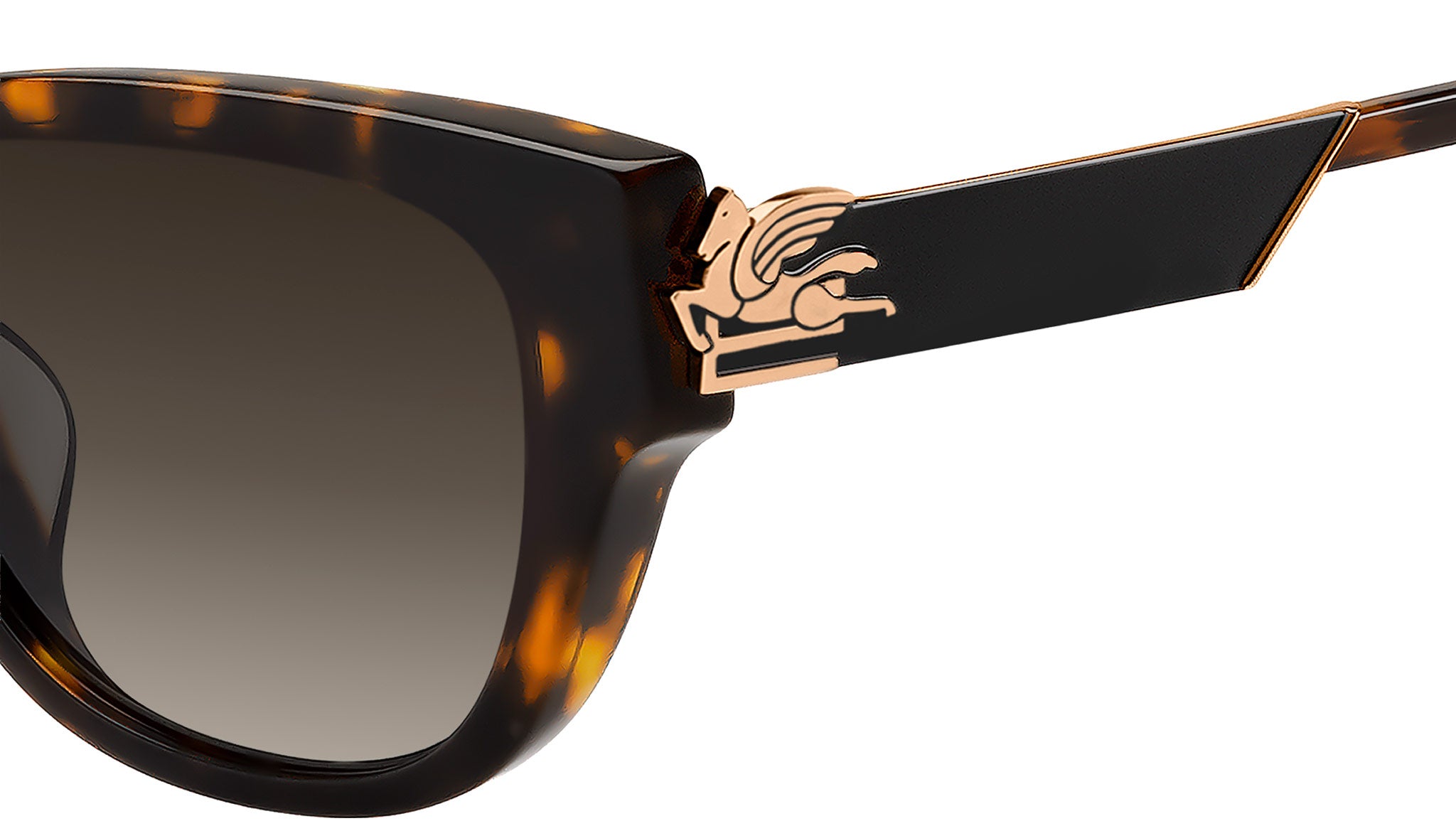 Etro エトロ サングラス ETRO 0063/F/S 08686 Havana Etro 0063/F/S 086 86 Sunglasses Havana - eye-oo.com