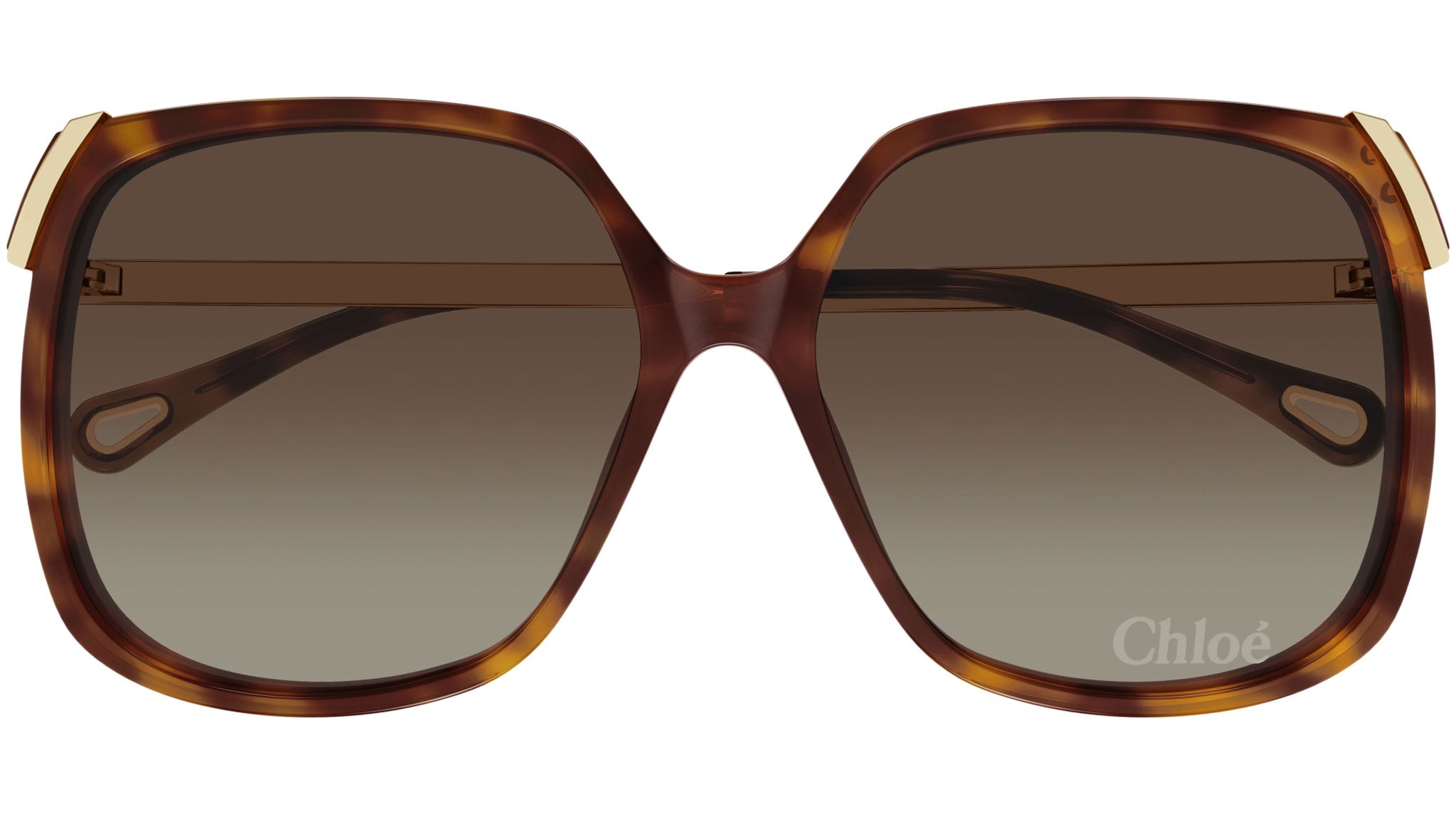Chloeｻﾝｸﾞﾗｽ 楽天市場】【国内正規品】 Chloe （クロエ） サングラス CE672SA 001