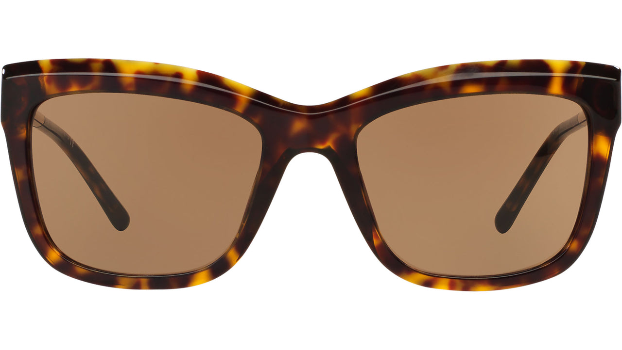 BE4207 300273 Tortoise