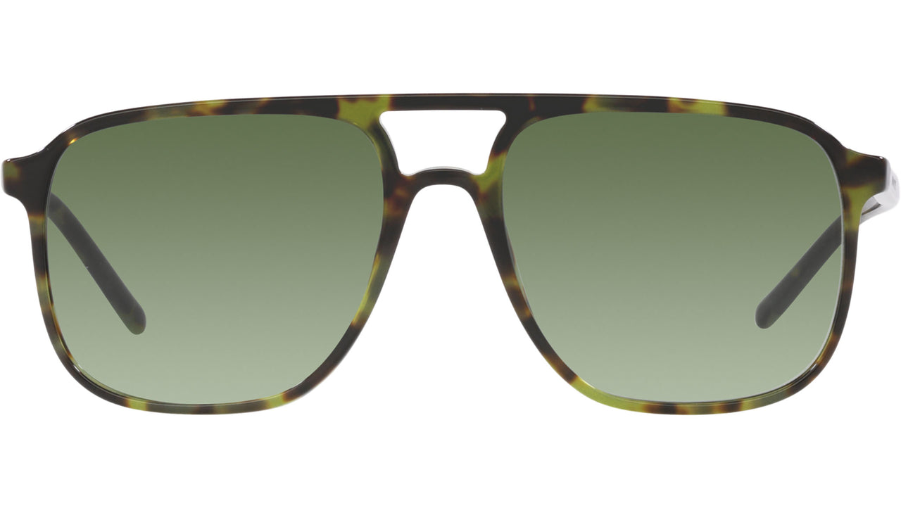 DG 4423 17358E tortoise