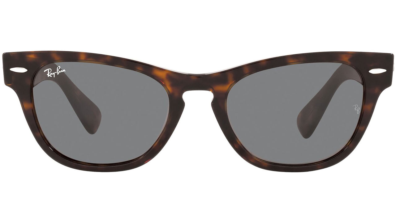 Laramie RB2201 902/B1 tortoise