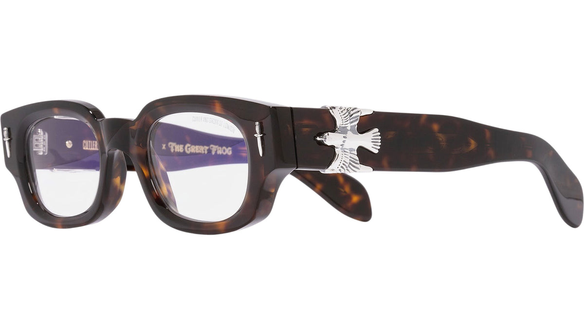 Soaring Eagle 004 02