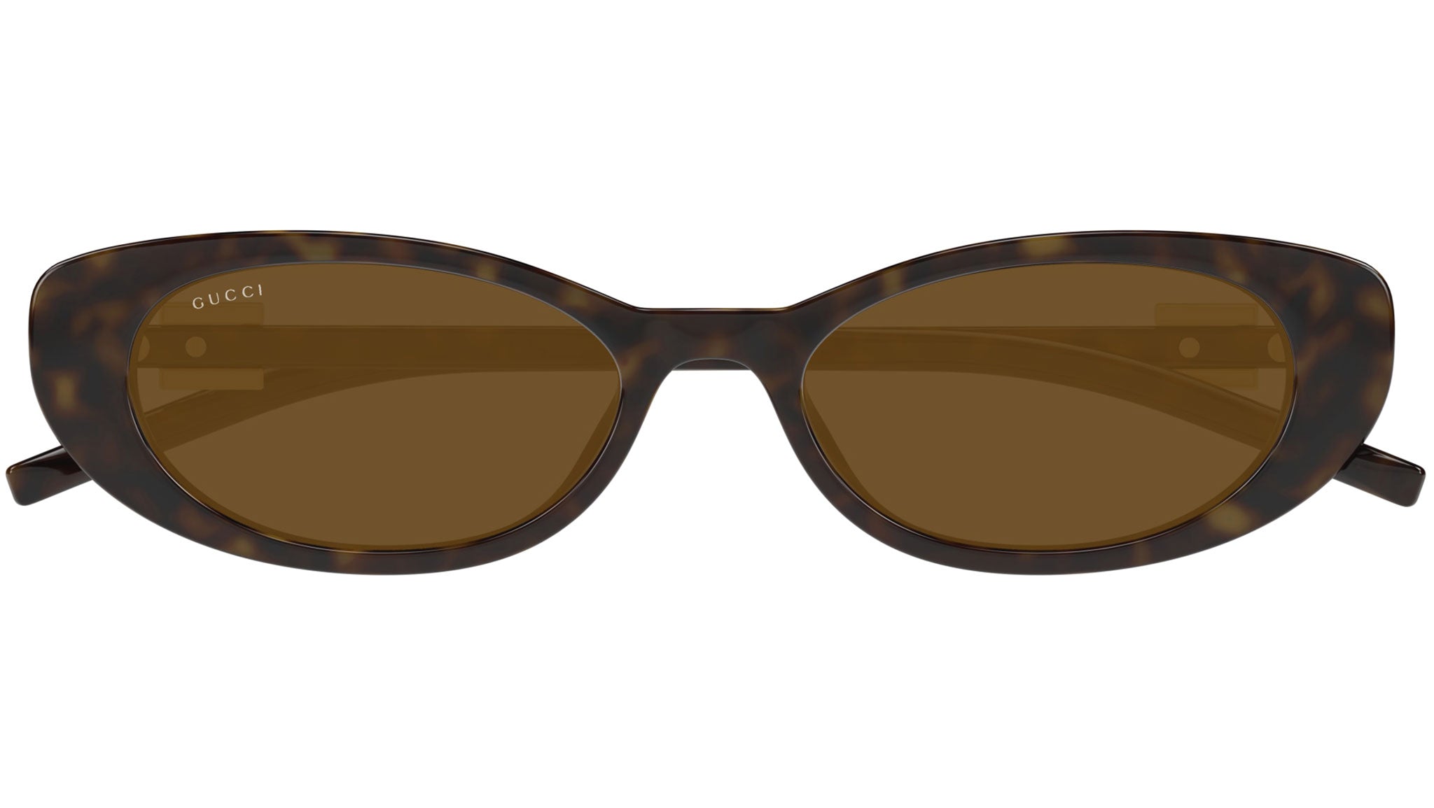 Gucci GG1680S 004 Havana Brown Cat Eye Sunglasses - eye-oo.com