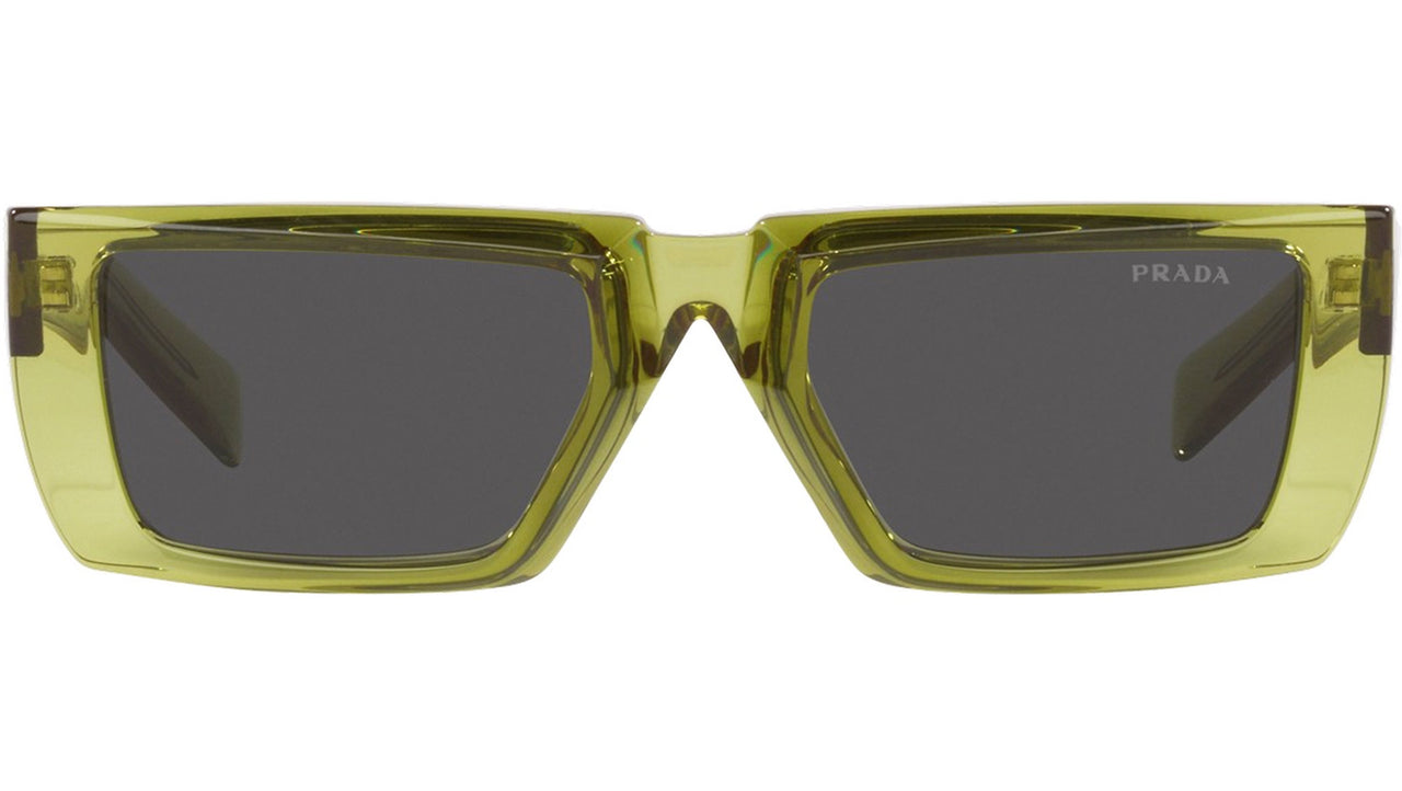 PR 24YS crystal fern