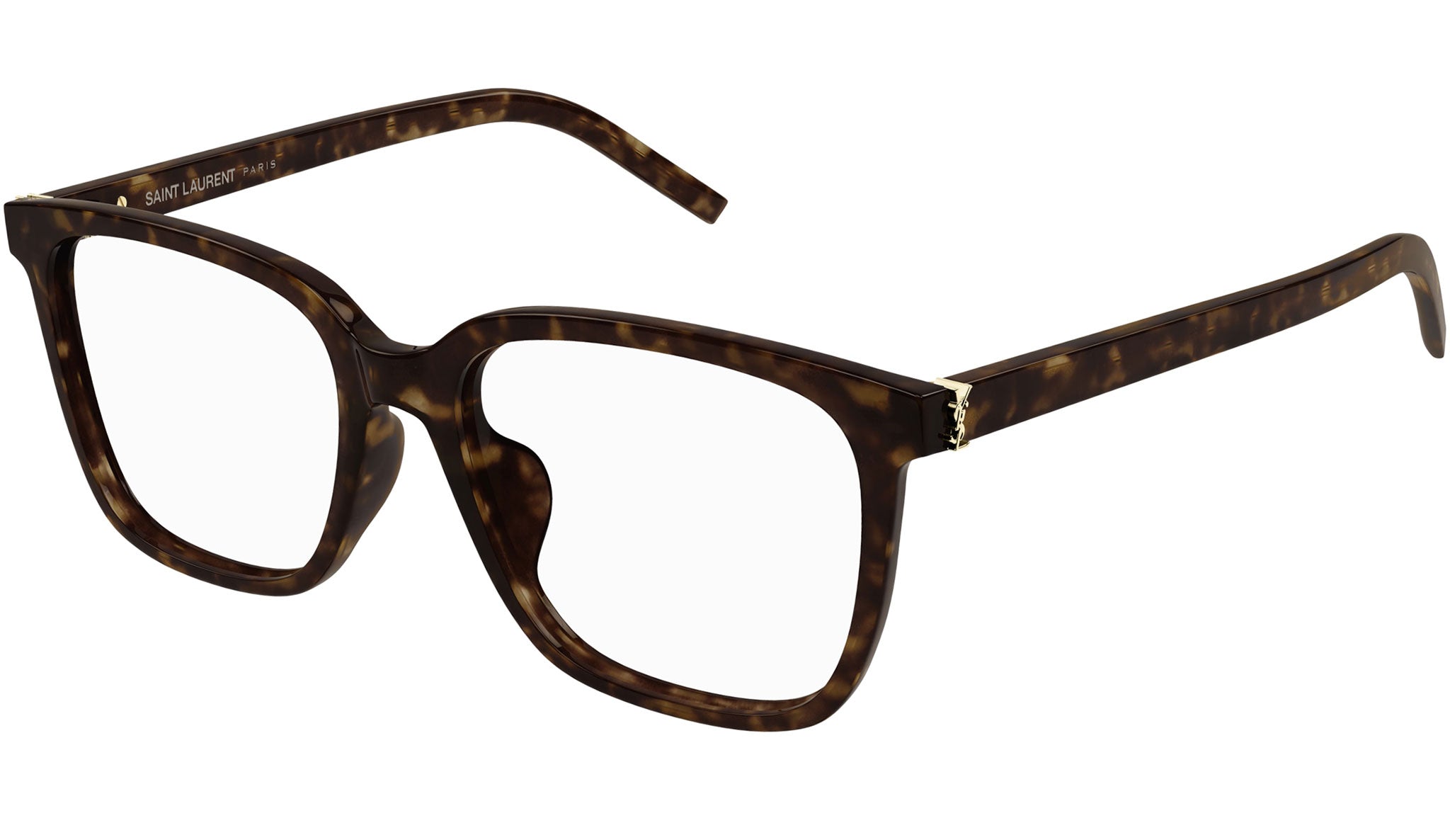 Saint Laurent SL M142/F 002 Dark Havana Glasses - eye-oo.com