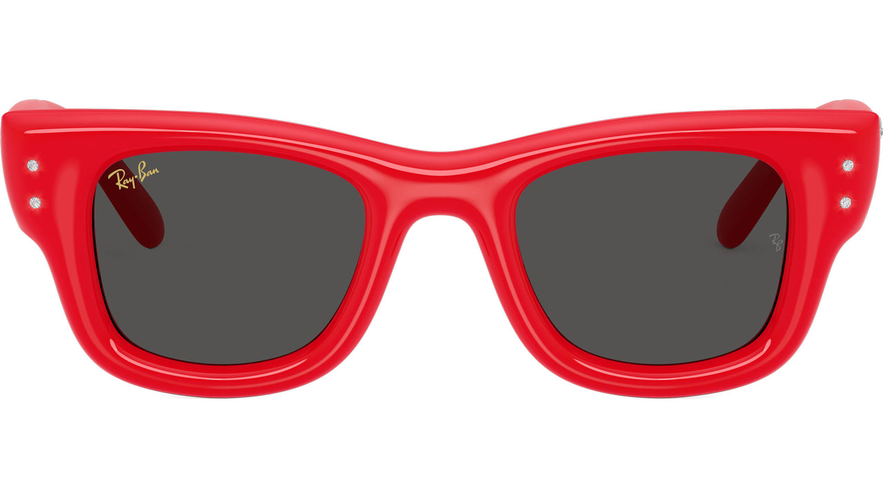 Wayfarer Puffer RB4940B 686187