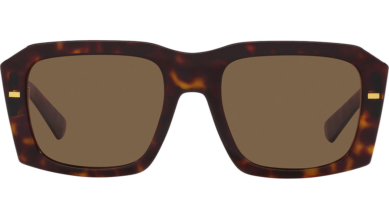 DG 4430 502/73 Tortoise Brown