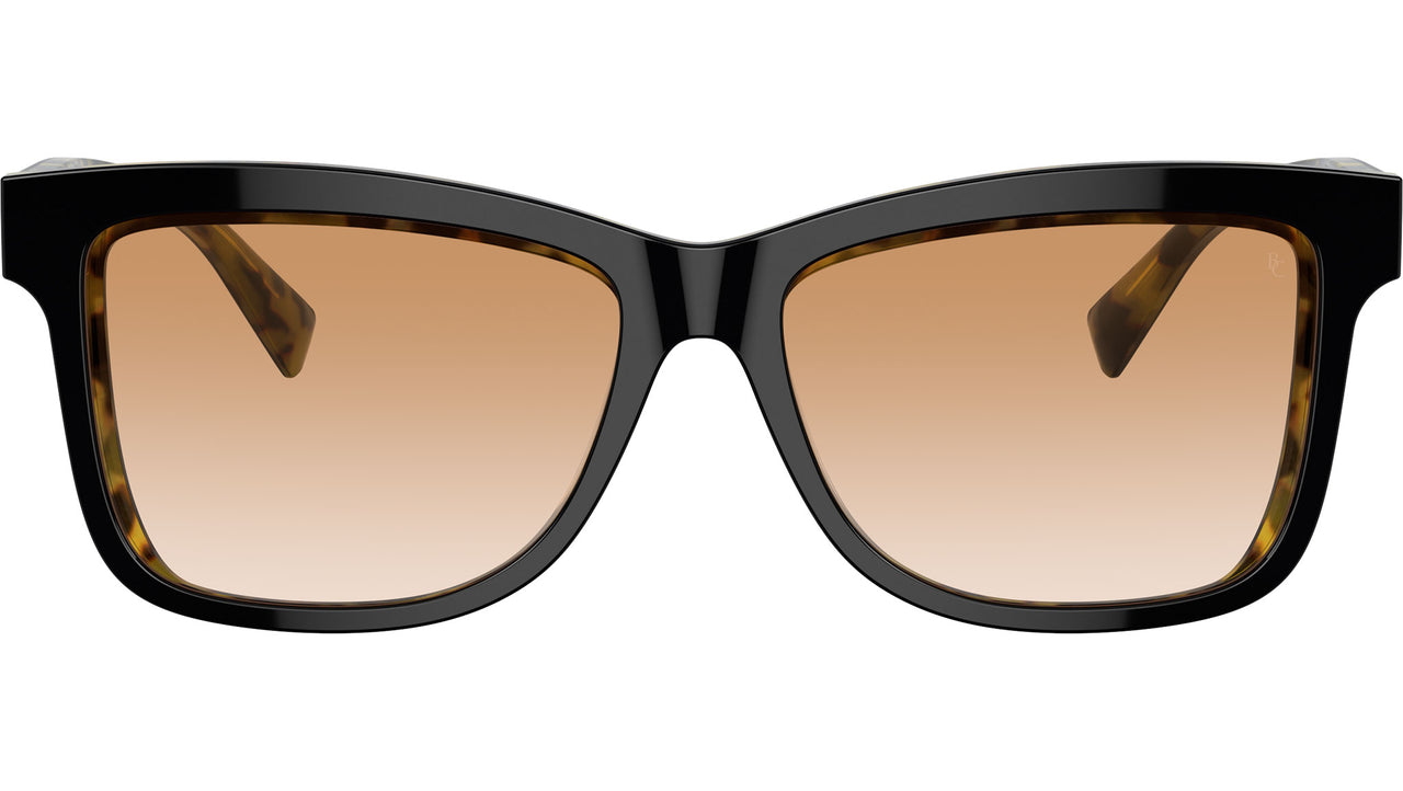 BC4009S 10173B Black On Havana