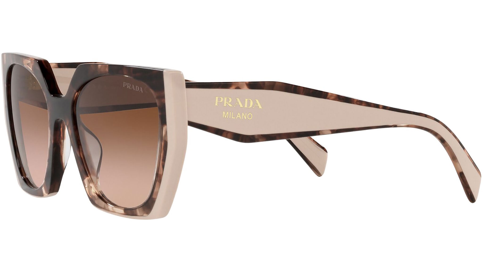 PR 15WS tortoise caramel and powder - eye-oo.com