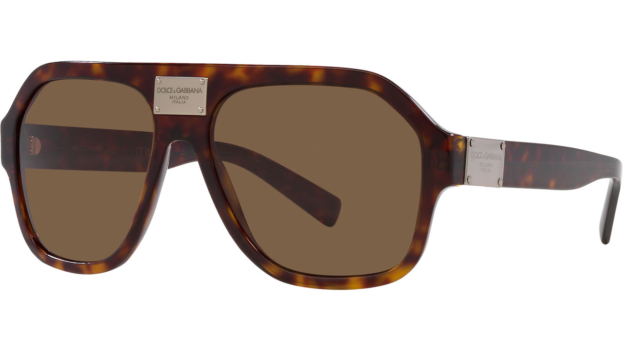 DG 4433 502/73 Tortoise Brown