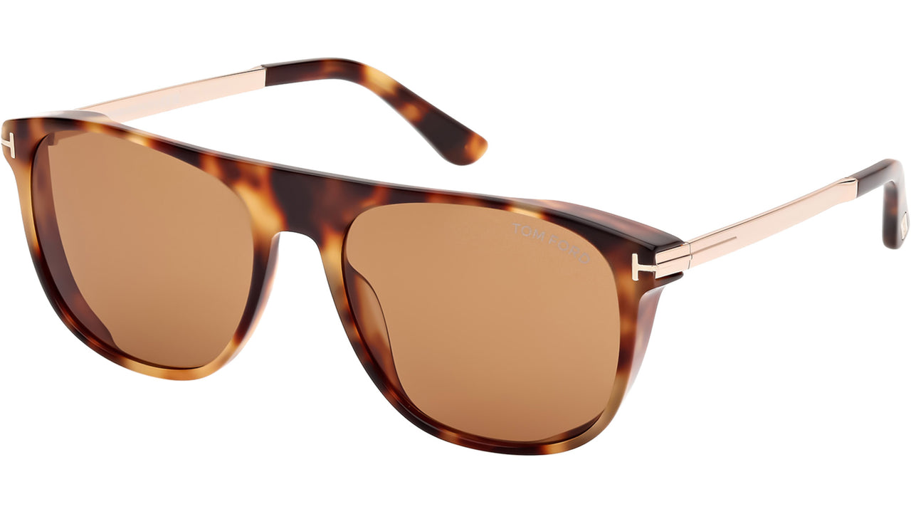 Lionel-02 FT1105 55E Spotted Havana Brown