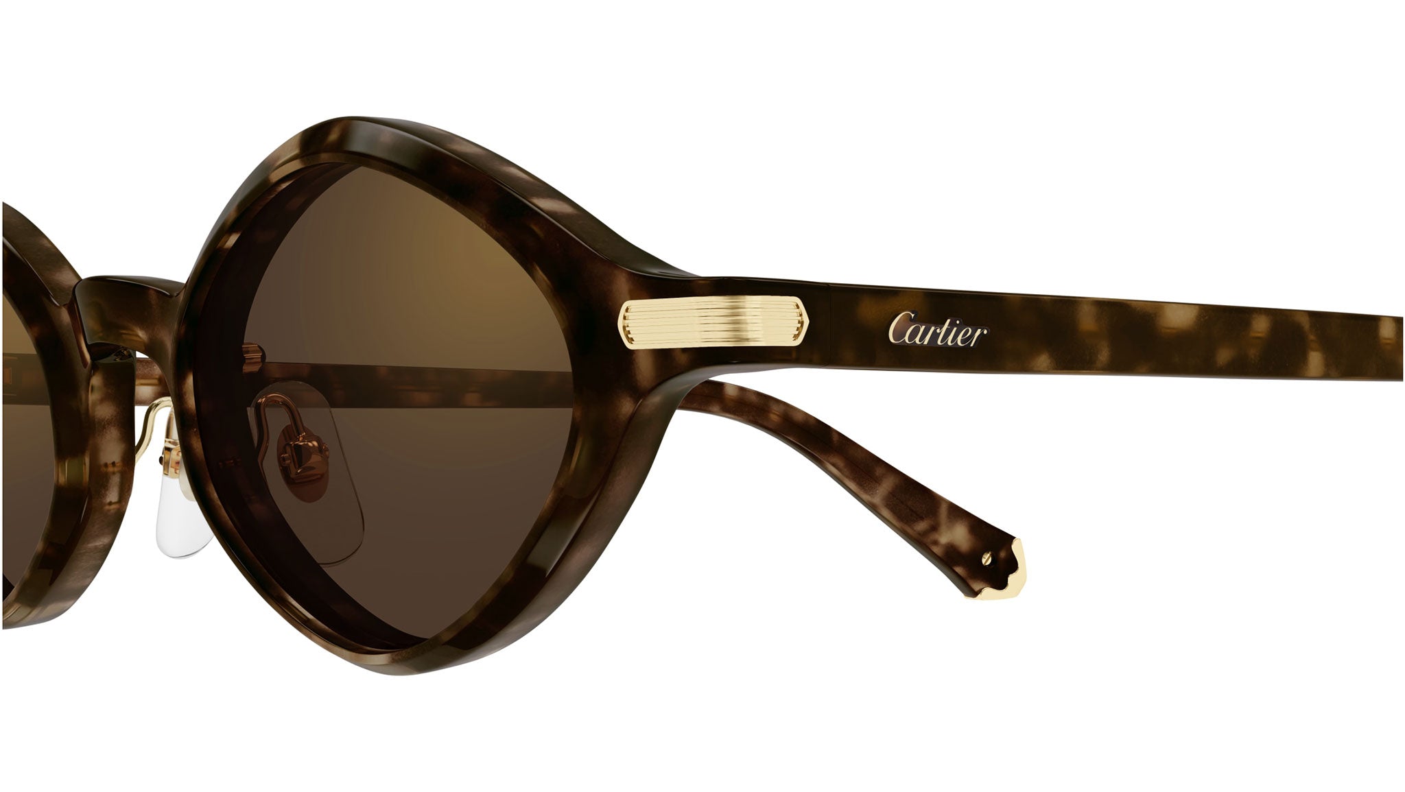 Cartier Première CT0540S Sunglasses 002 Dark Havana - eye-oo.com