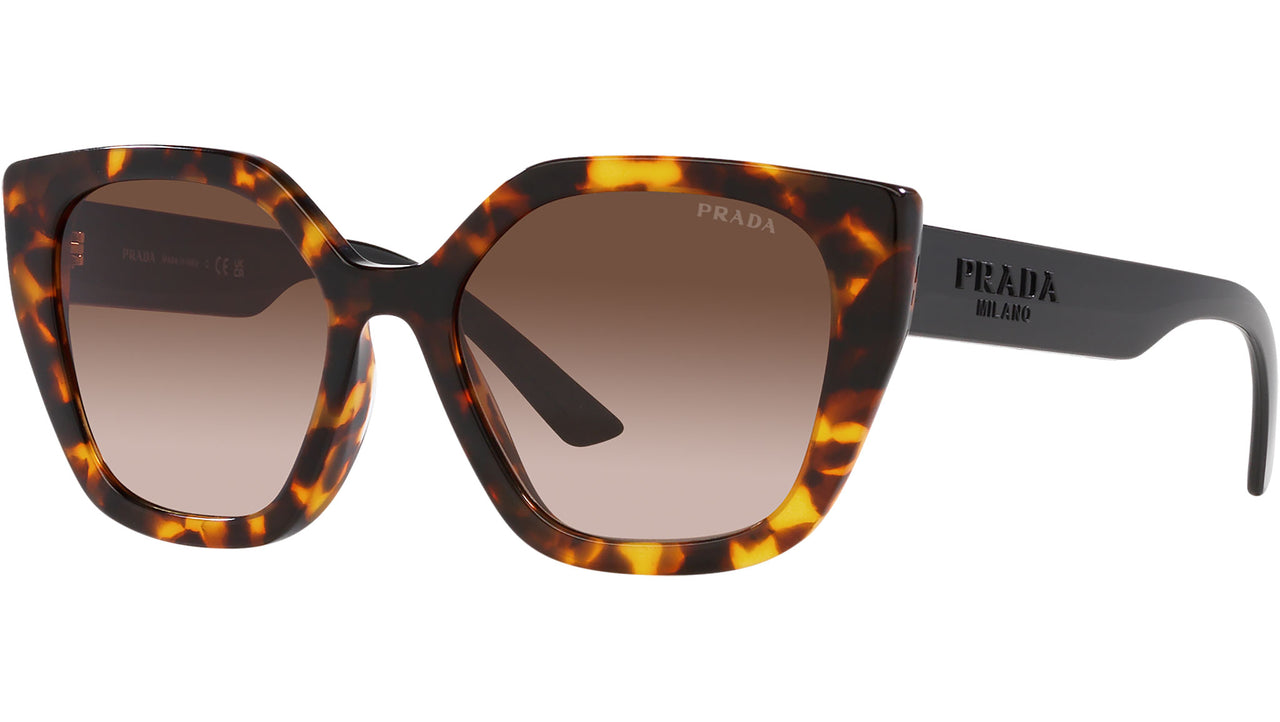 PR 24XS VAU6S1 honey tortoise