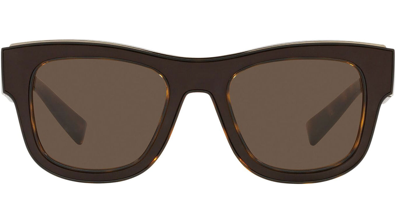 DG 6140 502/73 tortoise