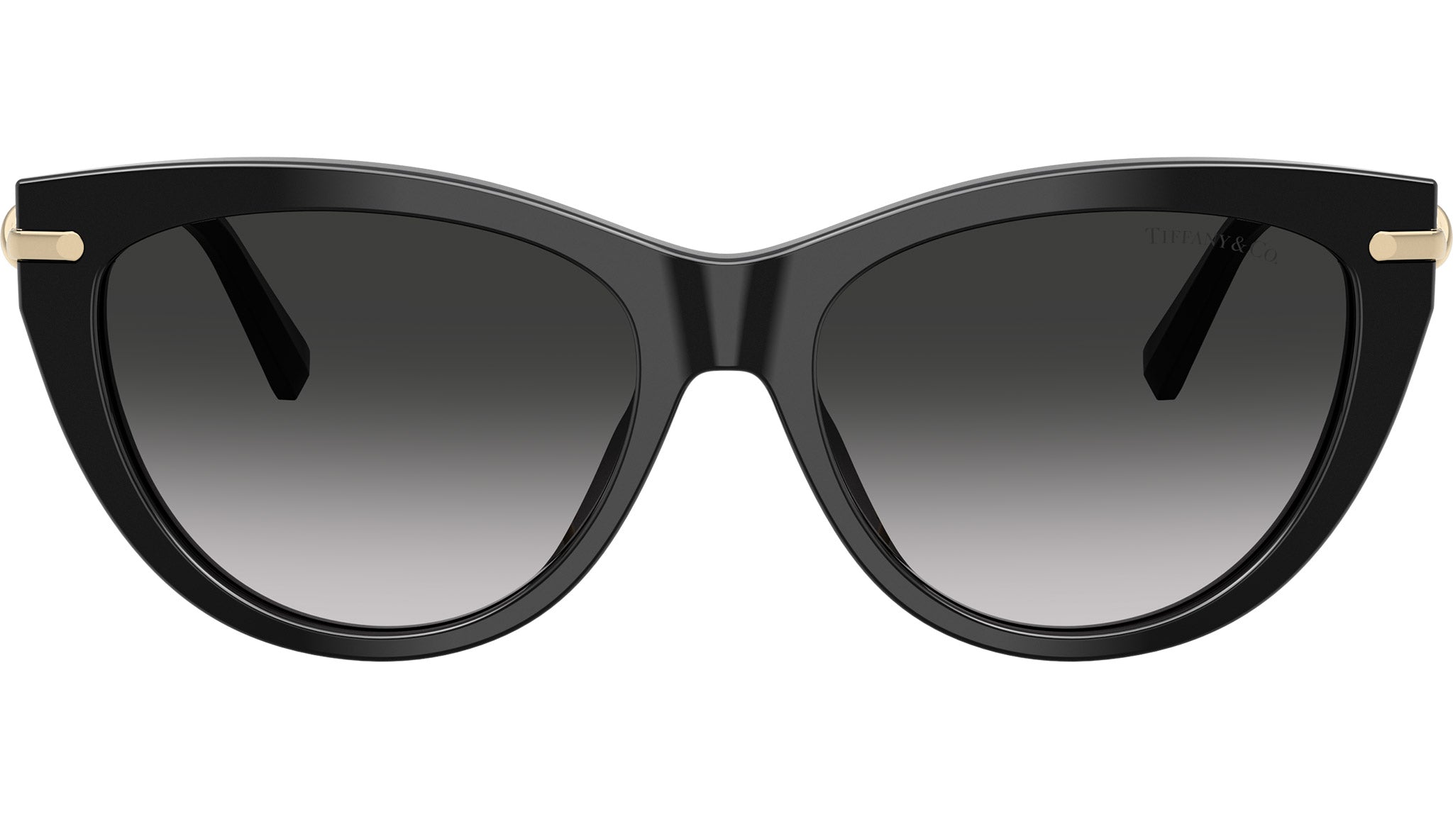 TF4253 Tiffany Sunglasses 80013C Black - eye-oo.com