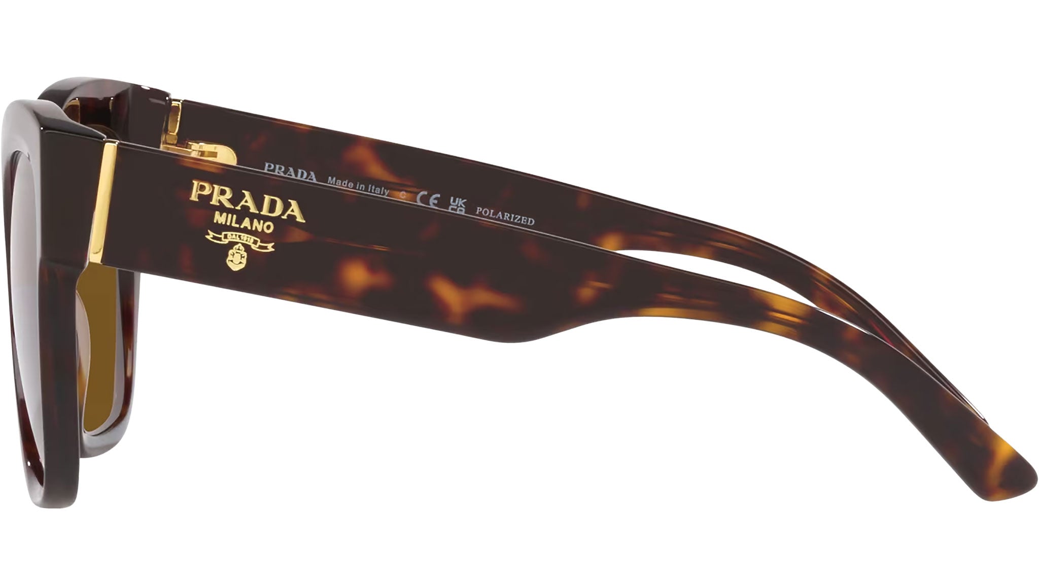 Prada PR 17ZS 2AU5Y1 Sunglasses Tortoise - eye-oo.com