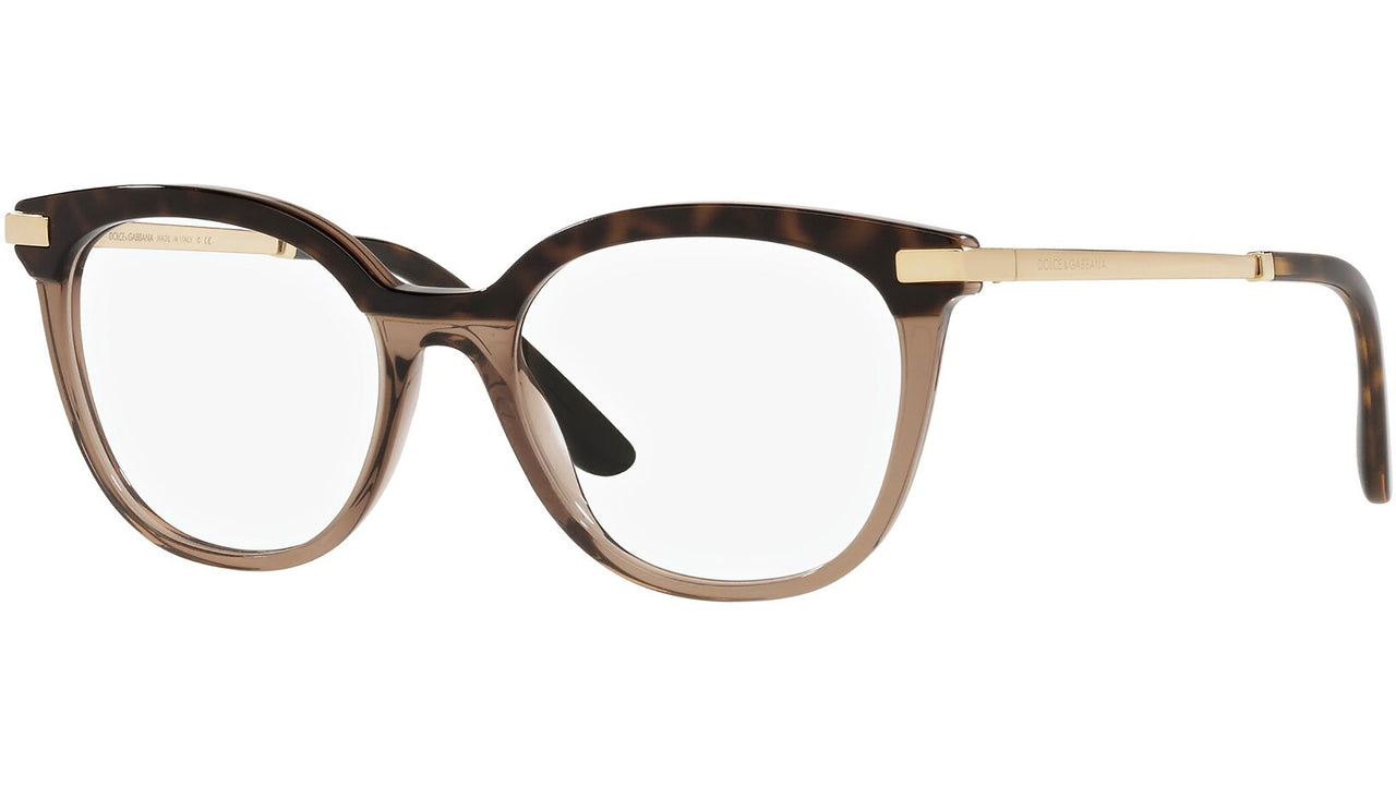 DG 3346 3256 tortoise