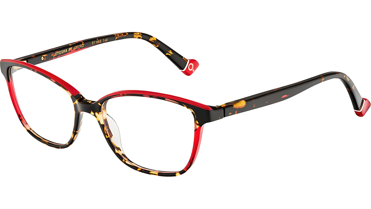 ETOSHA HVRD Tortoise